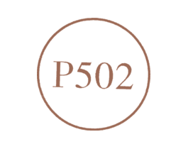 P502