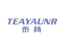 泰杨TEAYAUNR