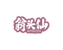 翁头仙WONGTOX