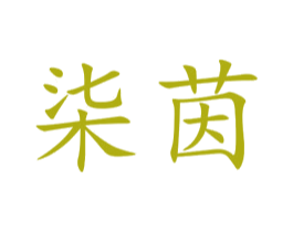 柒茵