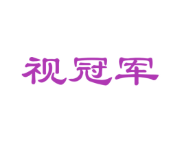 视冠军