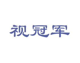 视冠军