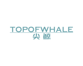 尖鲸TOPOFWHALE