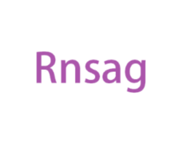 RNSAG