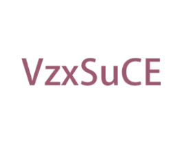 VZXSUCE