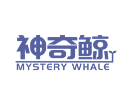 神奇鲸MYSTERYWHALE