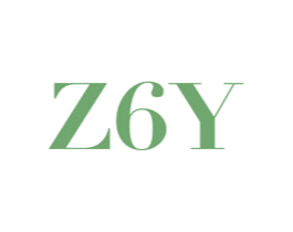 ZY6