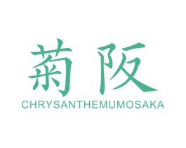 菊阪CHRYSANTHEMUMOSAKA