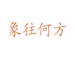 象往何方