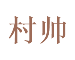 村帅