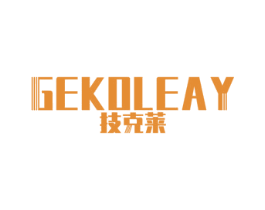 技克莱GEKOLEAY