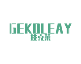 技克莱GEKOLEAY