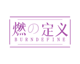 燃定义BURNDEFINE