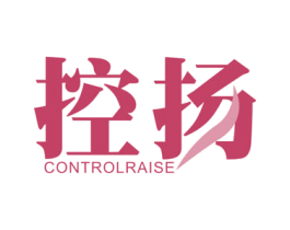 控扬CONTROLRAISE