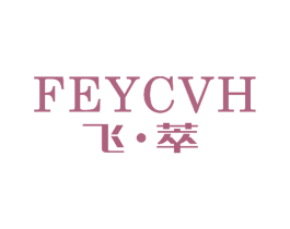 飞·萃FEYCVH