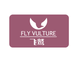 飞鹫FLYVULTURE