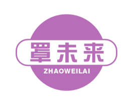 罩未来