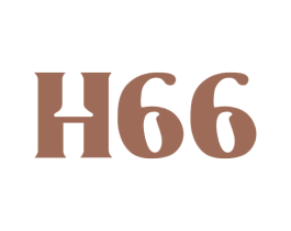 H66