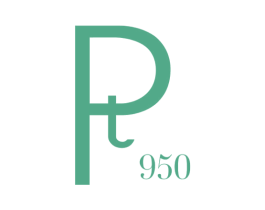 PT 950
