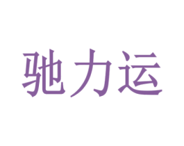 驰力运