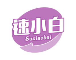 速小白