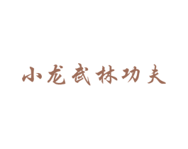 小龙武林功夫
