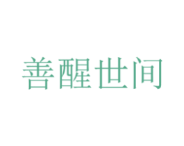 善醒世间