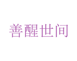 善醒世间