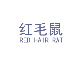 红毛鼠 RED HAIR RAT