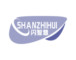 闪智慧