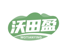 沃田盈