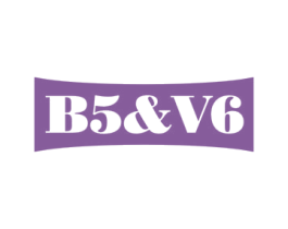 B5&V6