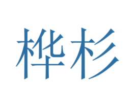 桦杉