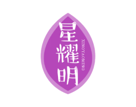 星耀明