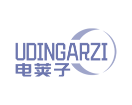 电荚子UDINGARZI