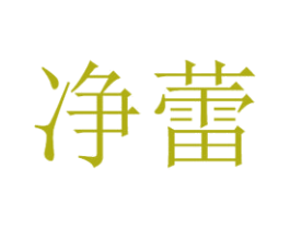 净蕾