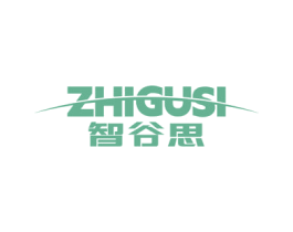 智谷思