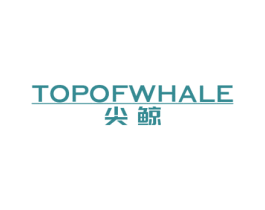 尖鲸 TOPOFWHALE