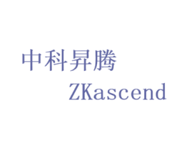 中科昇腾 ZKASCEND