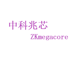 中科兆芯 ZKMEGACORE