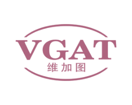 维加图 VGAT