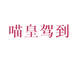 喵皇驾到
