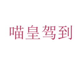 喵皇驾到