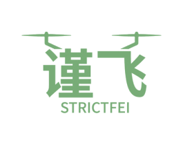 谨飞 STRICTFEI