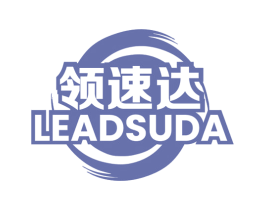 领速达LEADSUDA