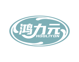 鸿力元 HOOLIYON