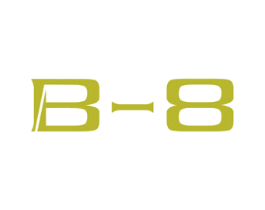 B-8