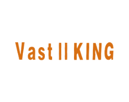 VASTIIKING