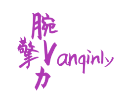 腕擎力 VANQINLY