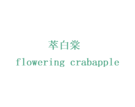 萃白棠 FLOWERING CRABAPPLE